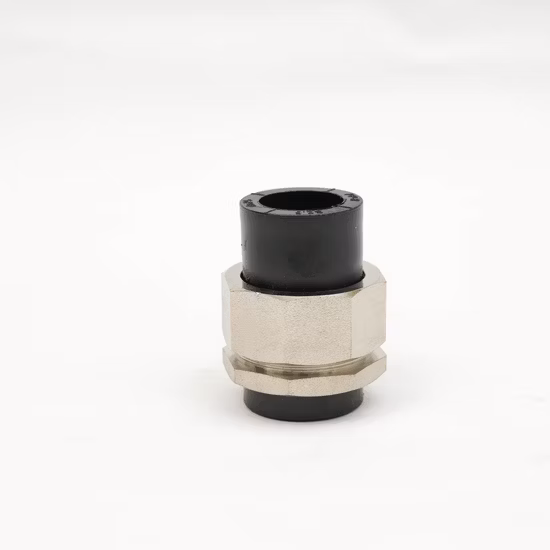 Feito sob medida na China, vende tubo de aço inoxidável com conector de extremidade diferente